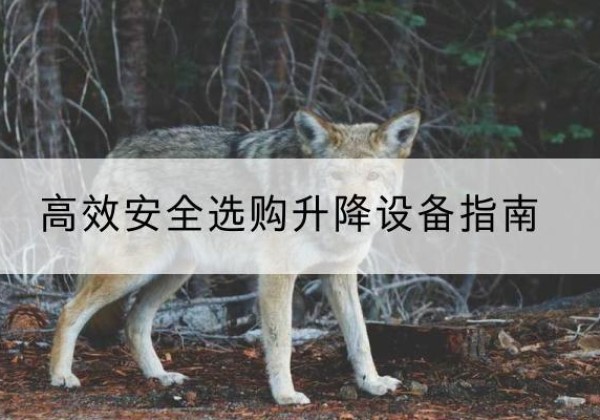 绥芬河升降货梯厂家推荐-*安全选购升降设备指南