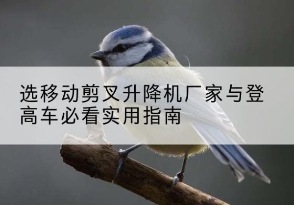 绥芬河电动升降机厂家-选移动剪叉升降机厂家与登高车必看实用指南