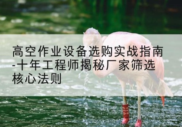 绥芬河剪叉式升降机厂家-高空作业设备选购实战指南-十年工程师揭秘厂家筛选核心法则